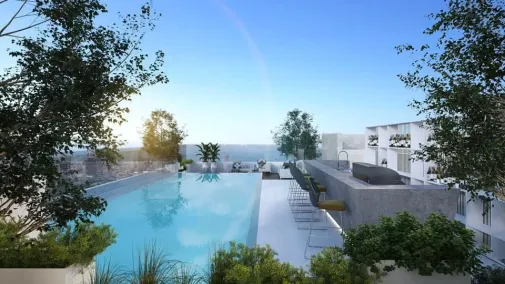 46451791_2337947016233894_4893697513862725632_n