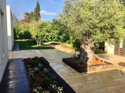 אחיאסף-1-e1562059719441