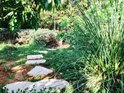 אחיאסף-2-e1562059763643