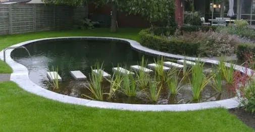 בריכה-אקולוגית-5