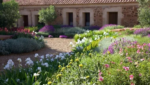 גינה-ים-תיכונית-1