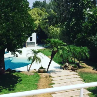 גינה-סגנון-מלדיביים-סביון-e1562059745299