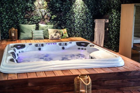 jacuzzi-artesian-spas-modell-dove-canyon-1