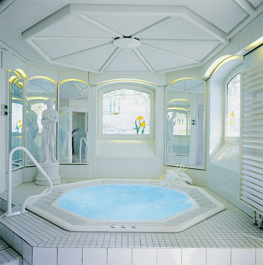 ג'קוזי דגם Octagon Public 285